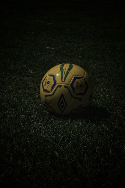 من فاز بدوري ابطال اوروبا 2010؟